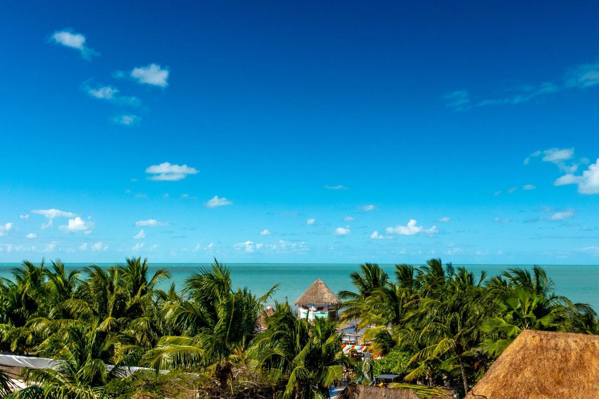 Macondo Estilo Holbox